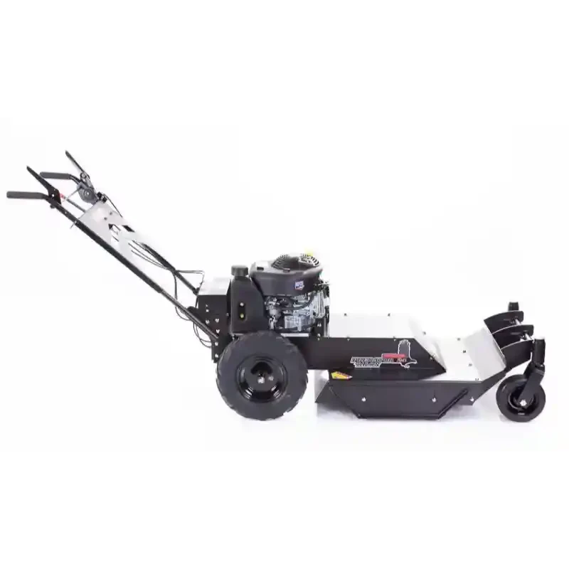 Swisher WRC11524BSC 24" Walk-Behind Rough Cut Mower with Casters – 11.5HP Briggs & Stratton